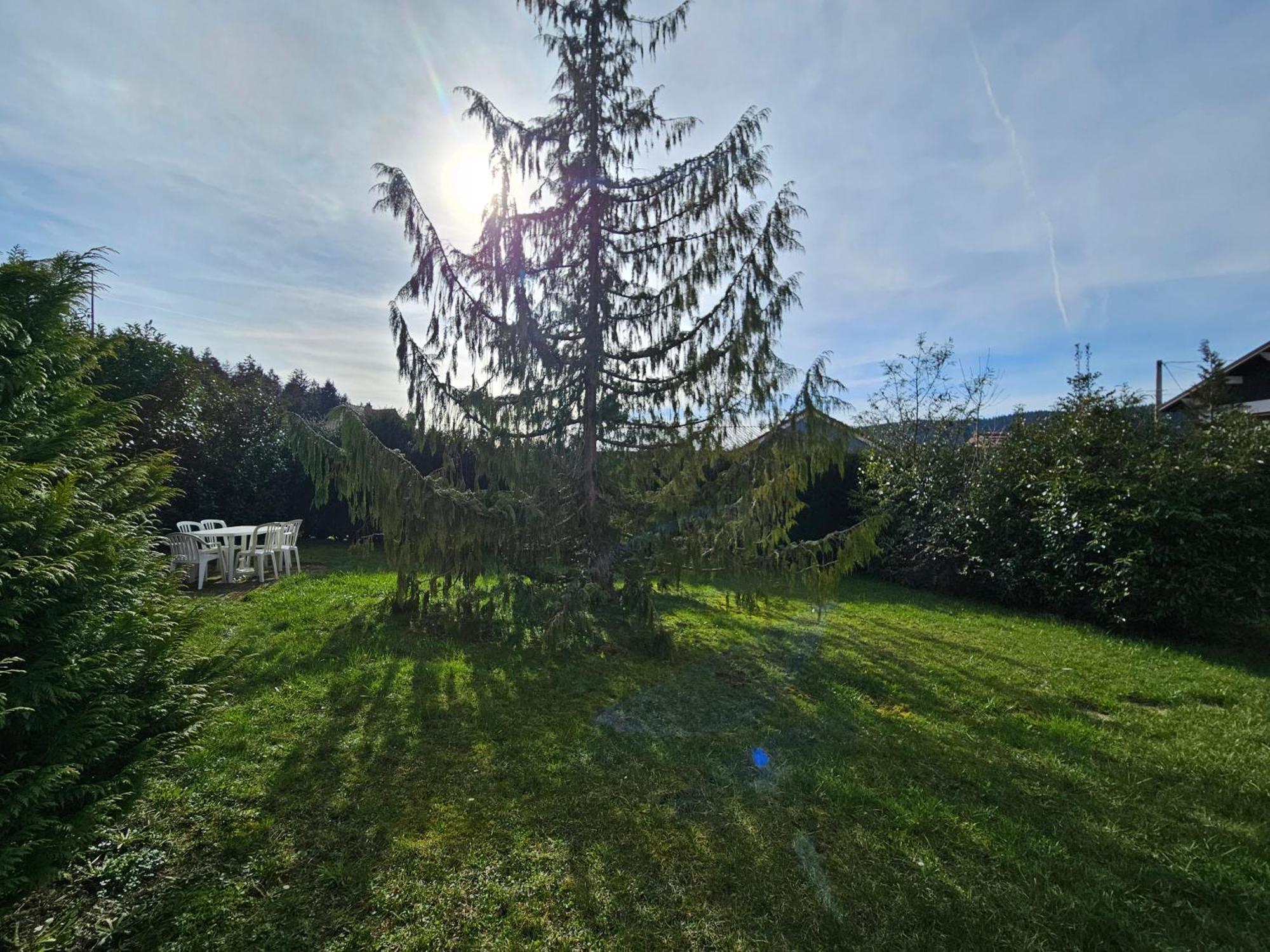 Appartement Chaleureux Gerardmer Proche Foret Dış mekan fotoğraf